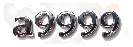 a9999 logo